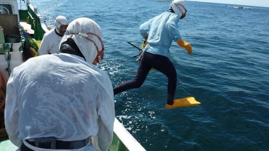 hoi nghi thuong dinh G7 anh 1