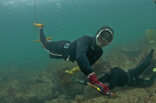 Hoi nghi G7 va niem khac khoai cua nhung Ama hinh anh