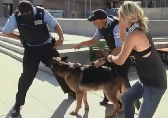 Cho can canh sat hinh anh