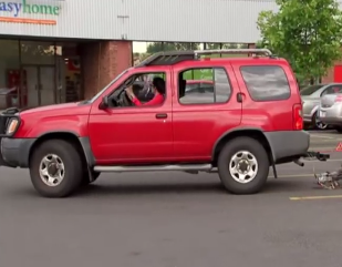 Pha xe nguoi khac khi lam viec tot hinh anh