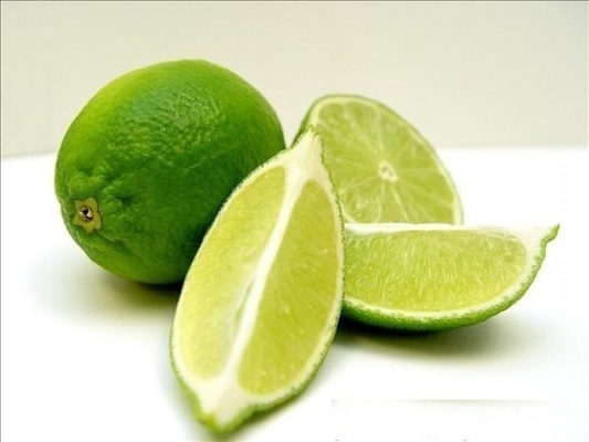 Tuong la nha hao tam hinh anh