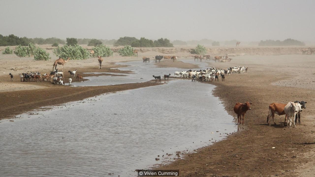 vung dat khac nghiet nhat the gioi anh 14