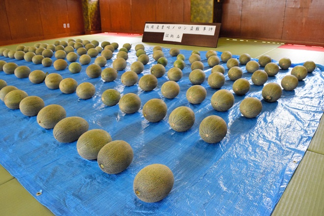 6 nguoi Viet bi bat vi trom dua o Nhat Ban hinh anh