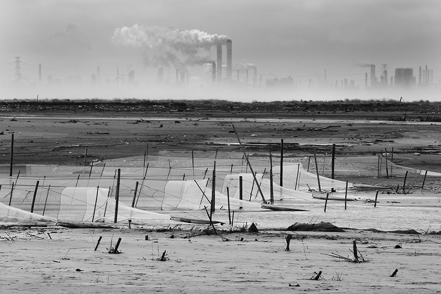 thu phu ung thu o Dai Loan anh 2