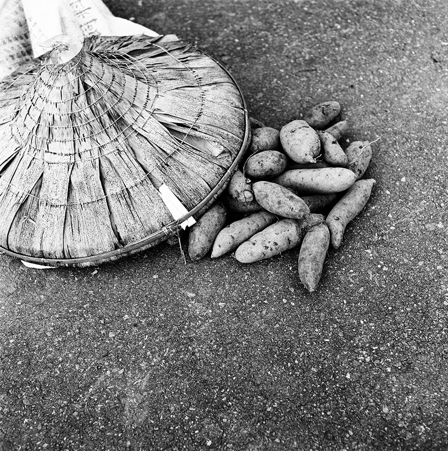 thu phu ung thu o Dai Loan anh 11