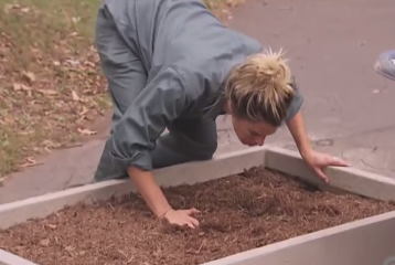 Bien bao mat hut hinh anh