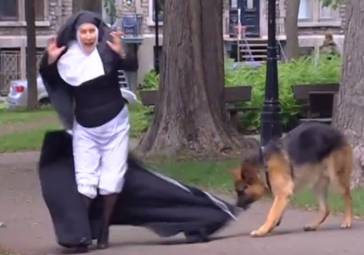 Cho can nu tu si hinh anh