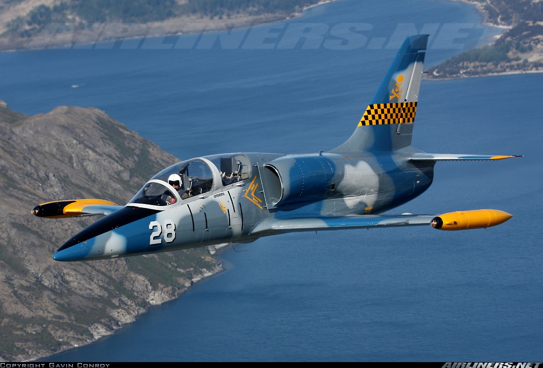 máy bay huấn luyện L-39 ảnh 9 may bay huan luyen L-39 anh 9