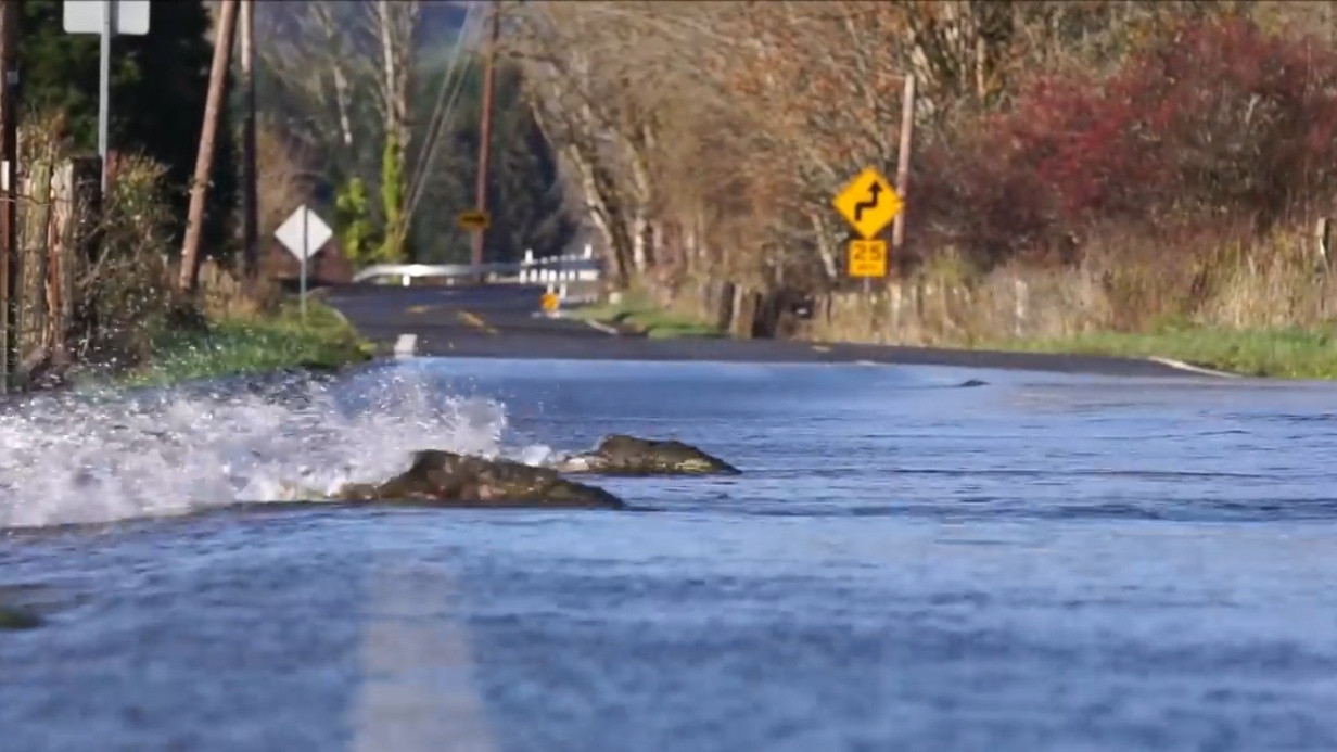 Ca hoi boi qua duong o My hinh anh