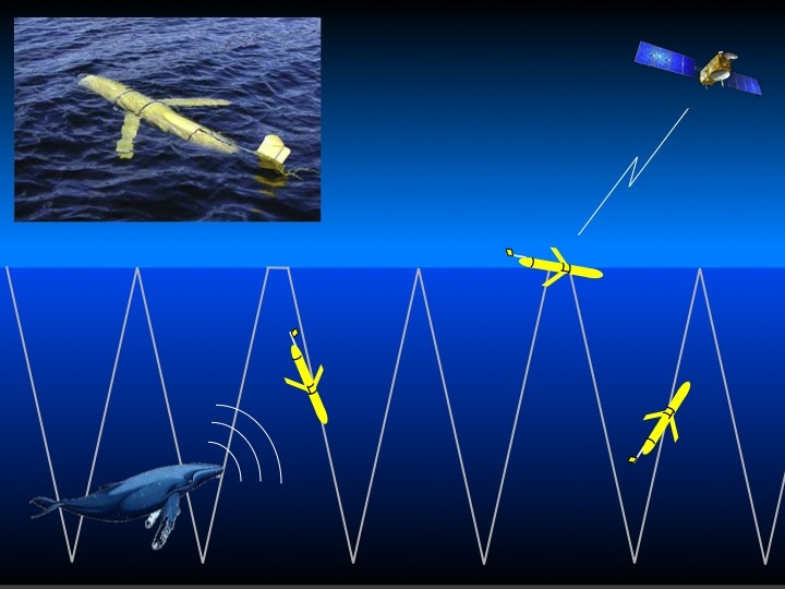 hạm đội tàu lặn của Mỹ ảnh 1 ham doi tau lan cua My anh 1