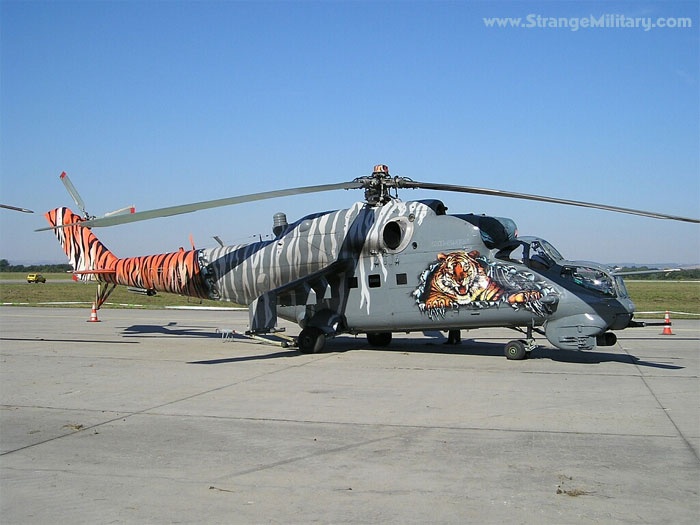 màu sơn ngụy trang ảnh 8 mau son nguy trang anh 8