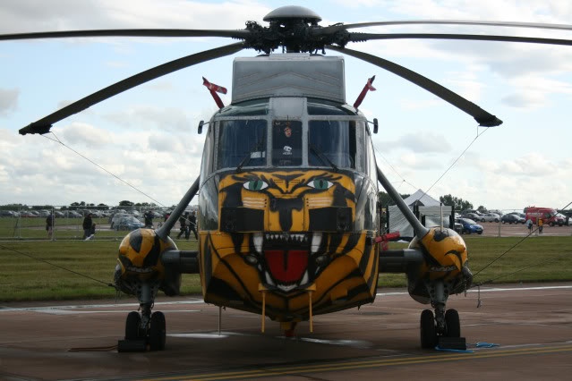 màu sơn ngụy trang ảnh 12 mau son nguy trang anh 12