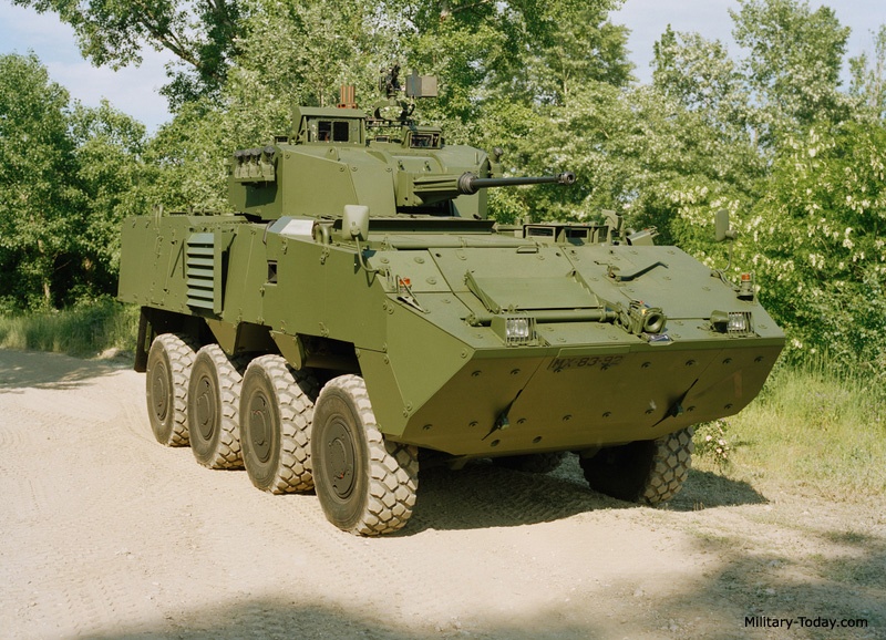 taxi chien truong anh 8