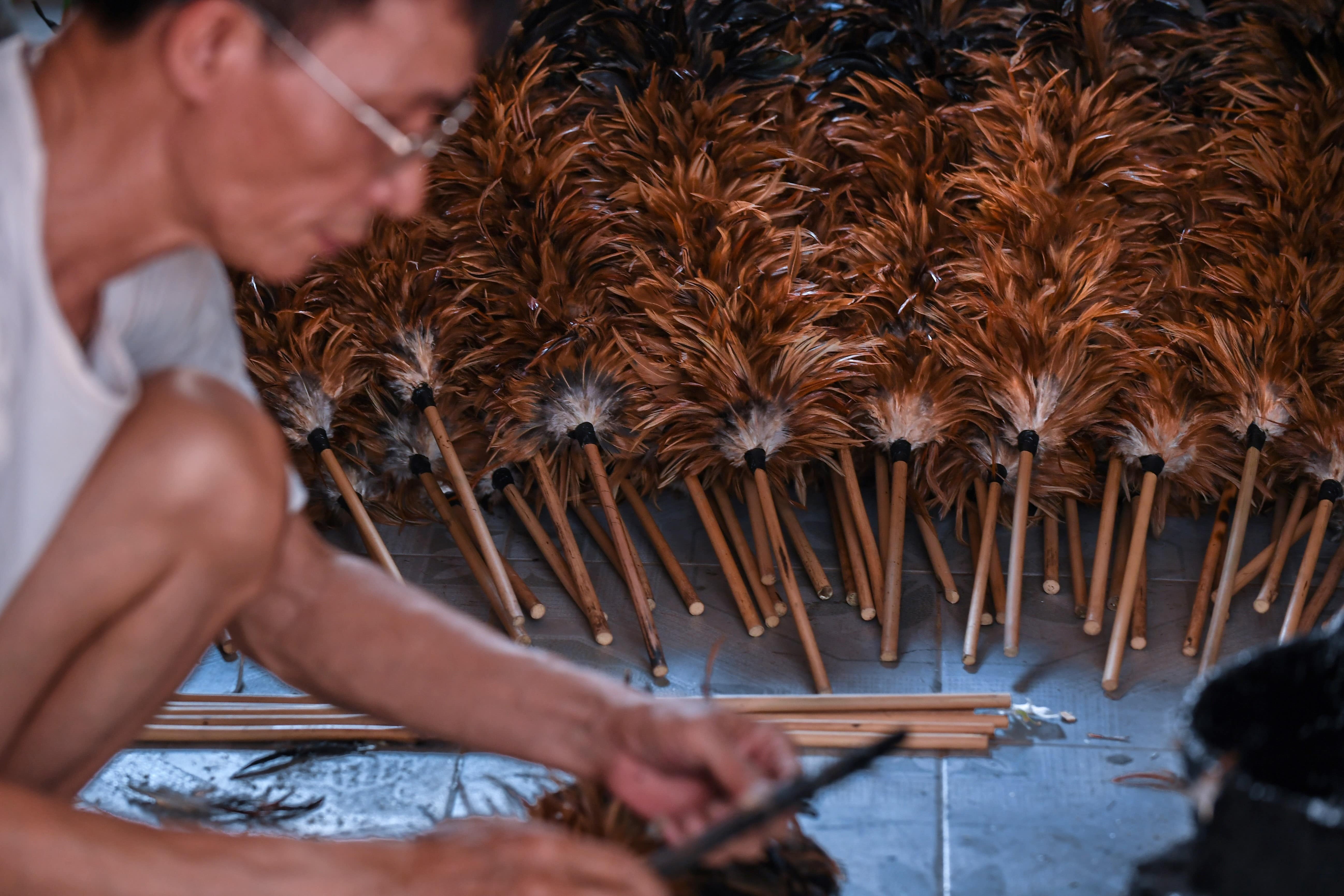 AFP: Cuoc chien ton tai khoc liet cua choi long ga Viet hinh anh