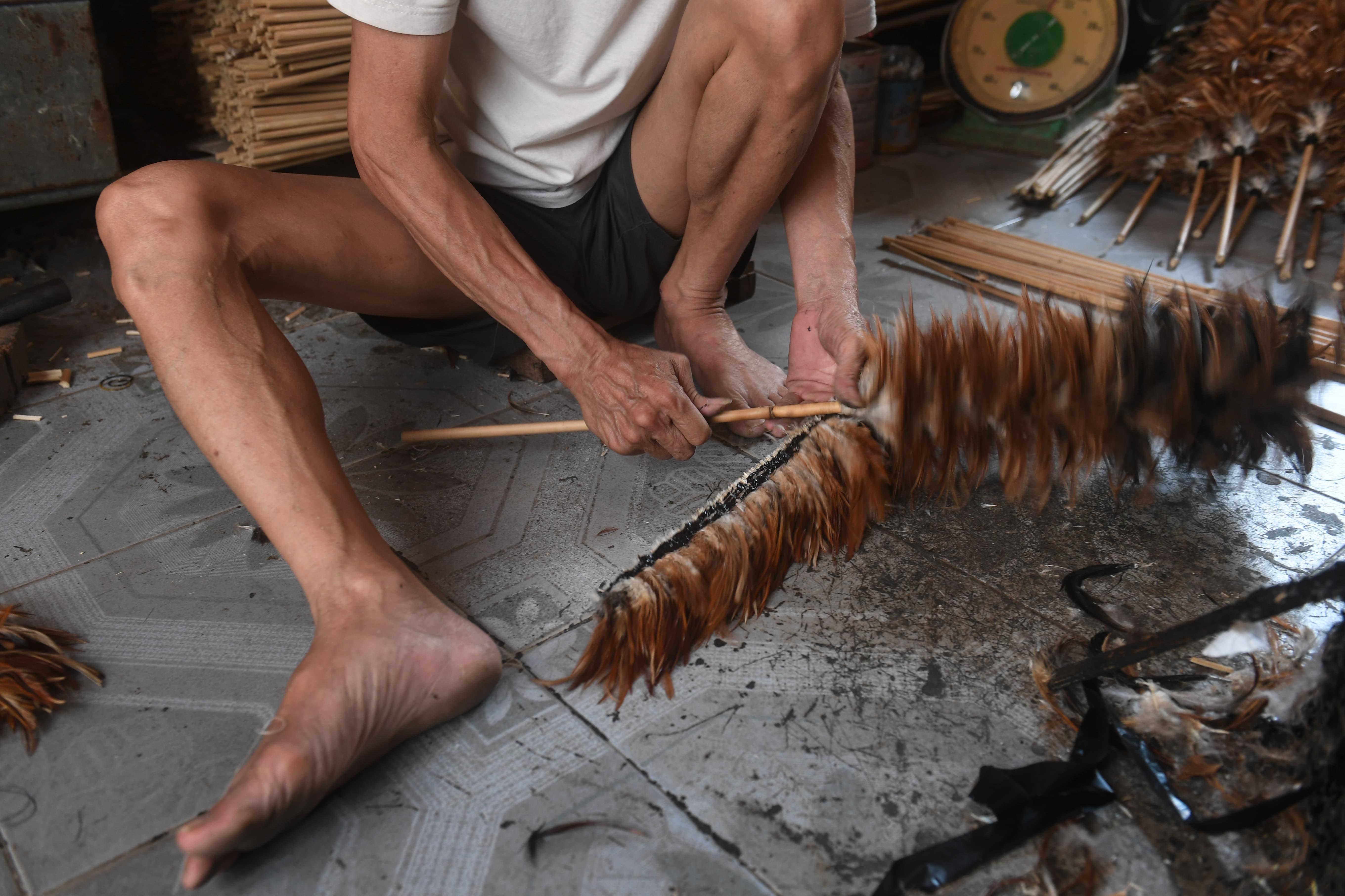 Choi long ga len bao Phap anh 3