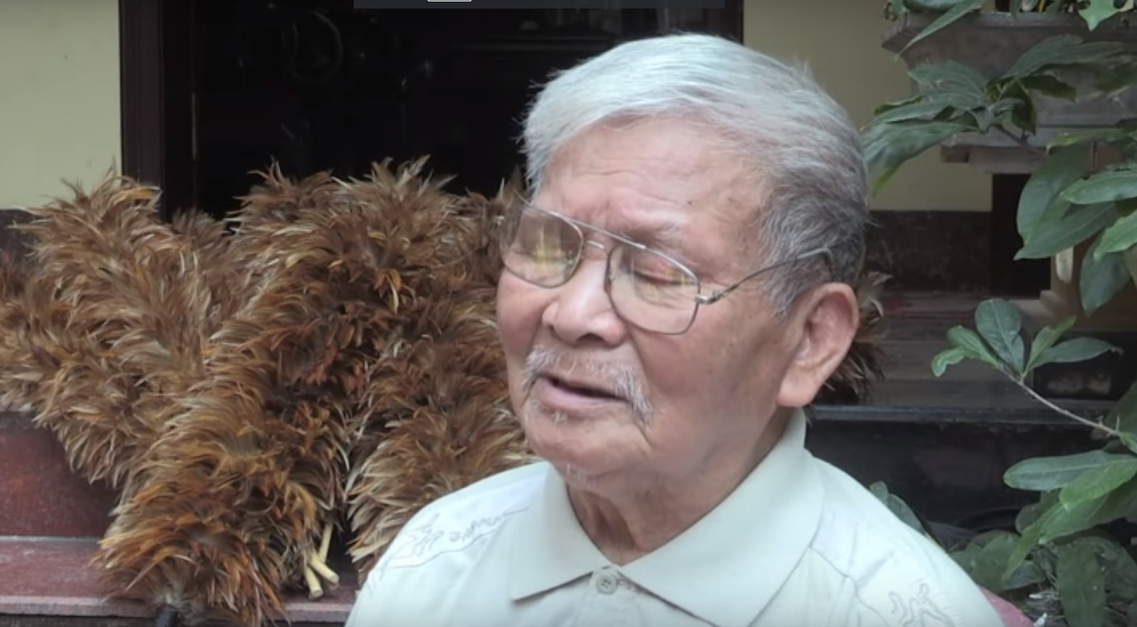 Choi long ga len bao Phap anh 5