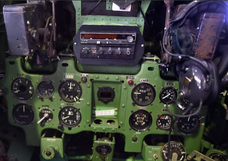 Chien dau co Nhat ban cat canh sau giac ngu 80 nam trong rung ram anh 6