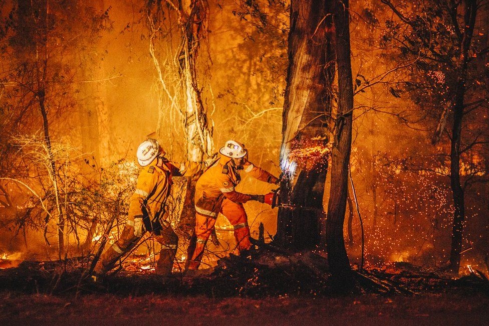 Phong vien khoac ao linh cuu hoa duong dau chay rung tai Australia hinh anh