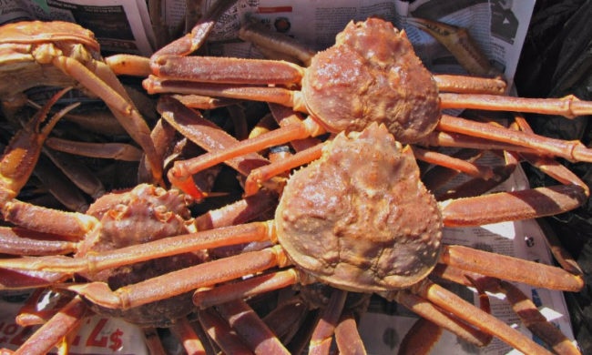 cuộc chiến dầu mỏ ở vùng cực bắc ảnh 3 cuoc chien dau mo o vung cuc bac anh 3