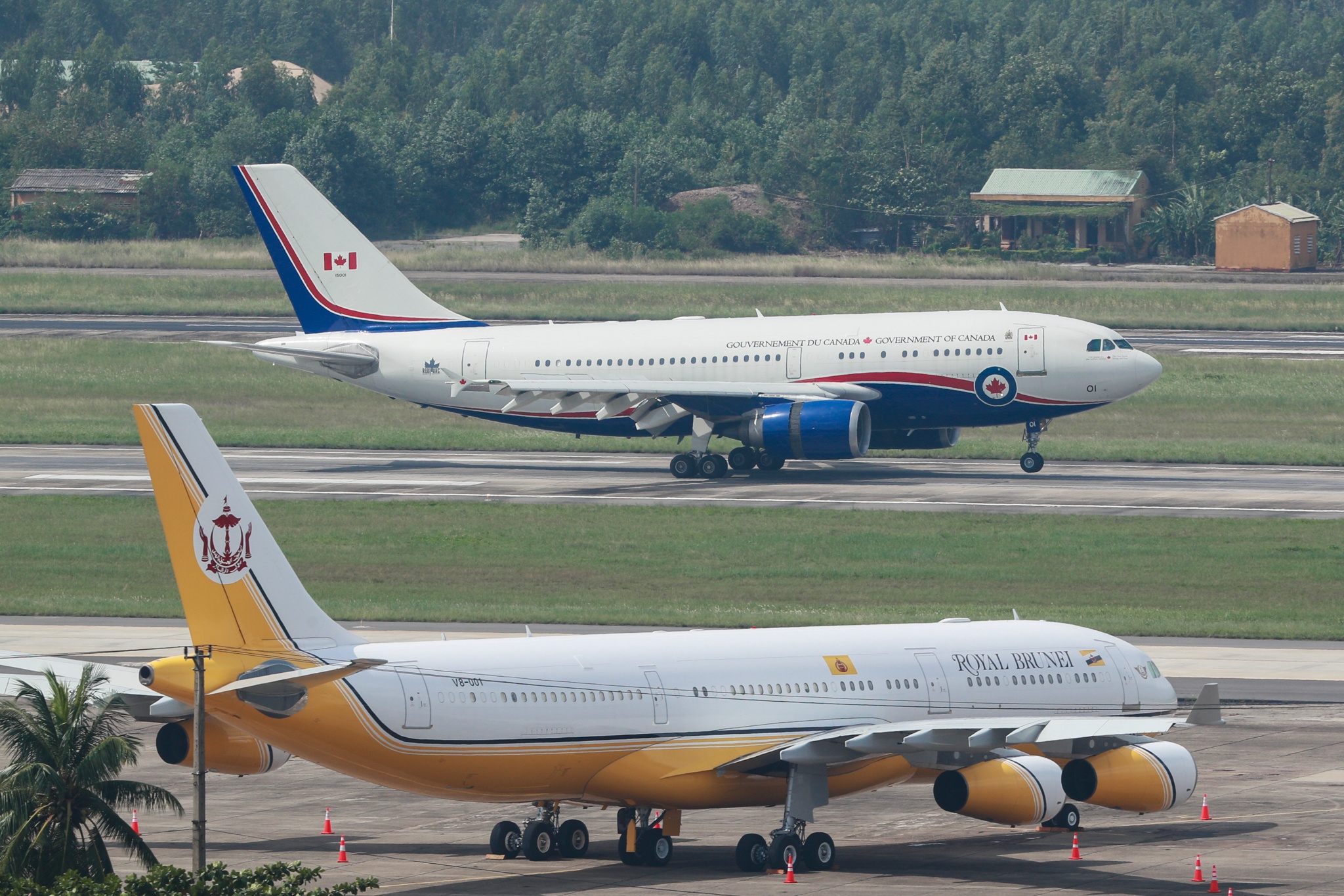 Dan chuyen co APEC anh 10