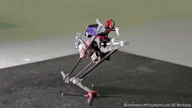 Robot sát thủ ảnh 2 Robot sat thu anh 2