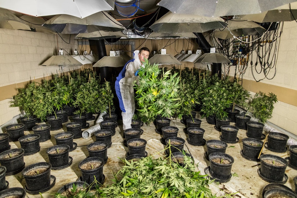 tre em viet trong can sa o Anh anh 3