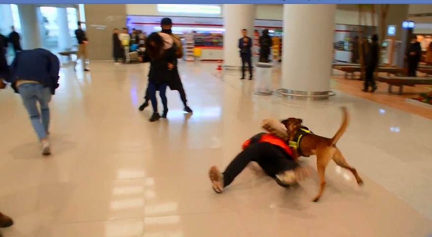 An ninh cho Olympics 2018 ảnh 10 An ninh cho Olympics 2018 anh 10