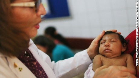 zika đến châu âu ảnh 1 zika den chau au anh 1