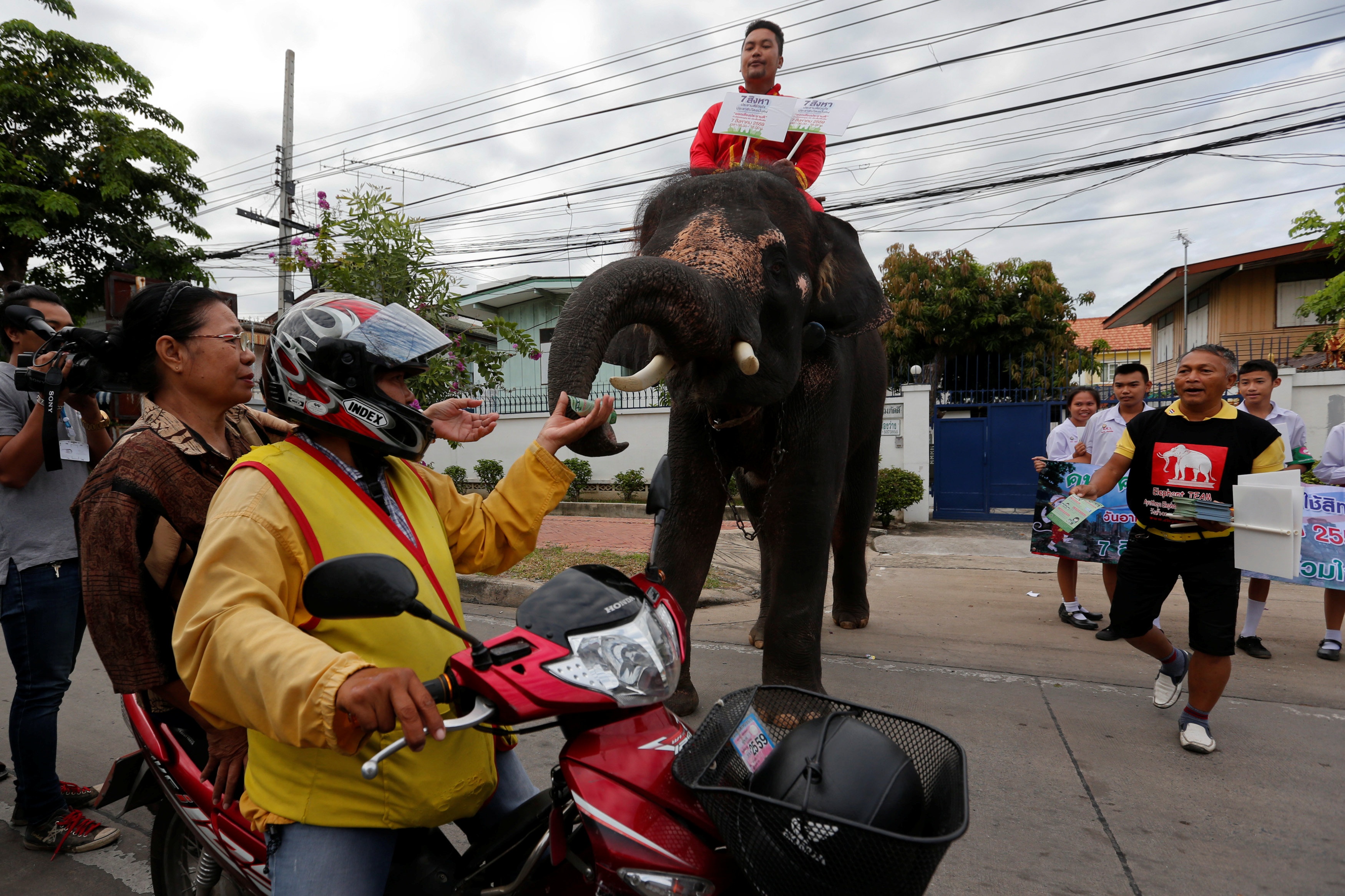 voi van dong cho cuoc trung cau dan y Thai Lan anh 6