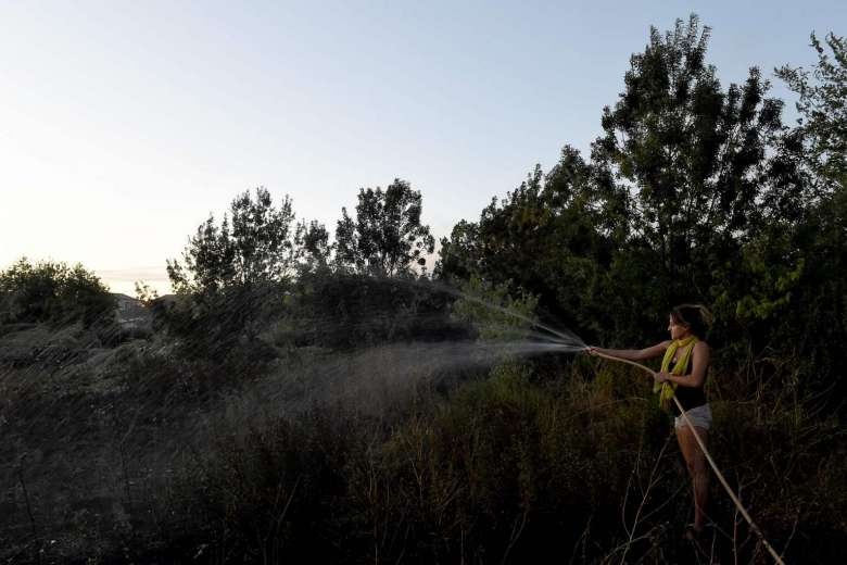 chay rung o Phap anh 3