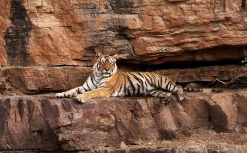 nu hoang ho An Do qua doi anh 1