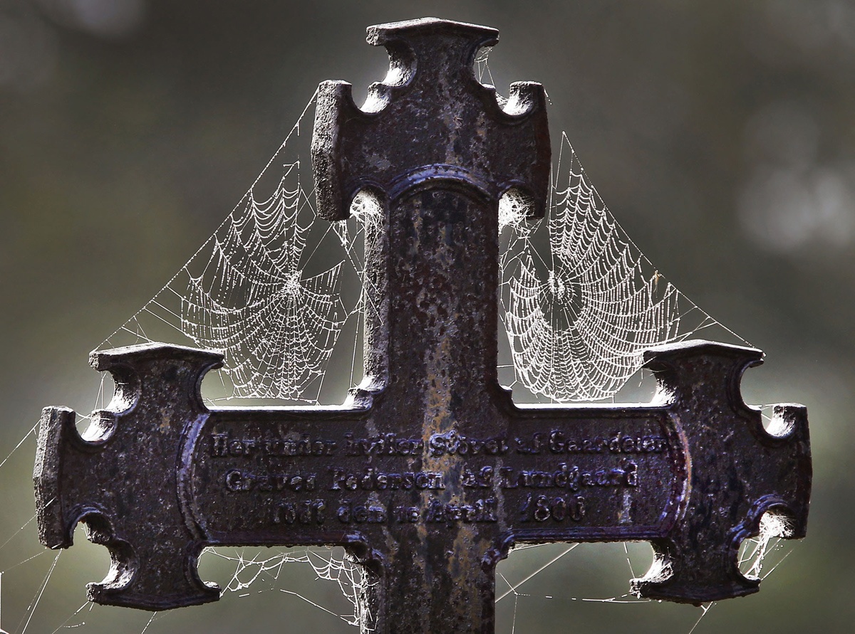 anh an tuong trong tuan anh 8