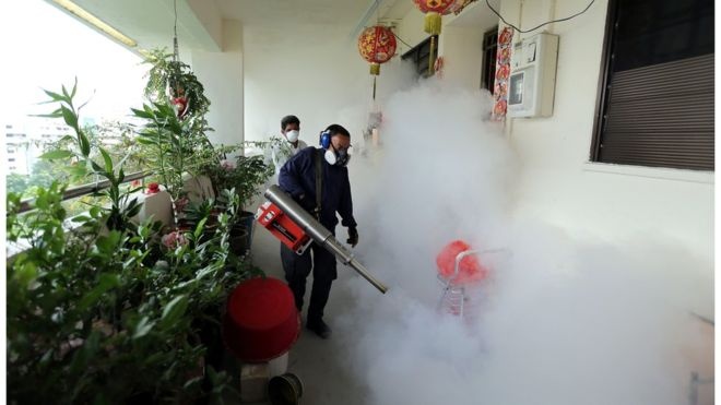 Singapore phat hien thai phu dau tien nhiem virus Zika hinh anh