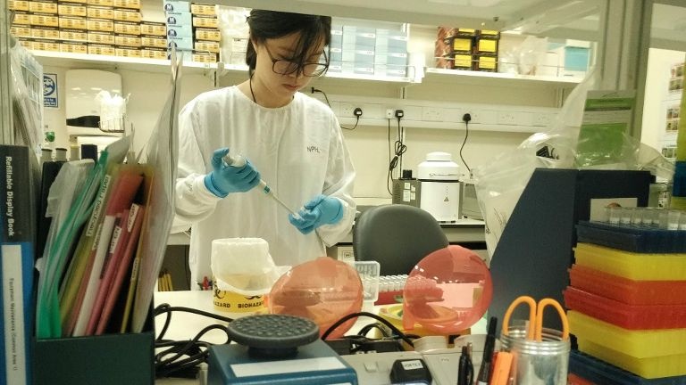 Nhiễm virus Zika tại Singapore ảnh 1 Nhiem virus Zika tai Singapore anh 1