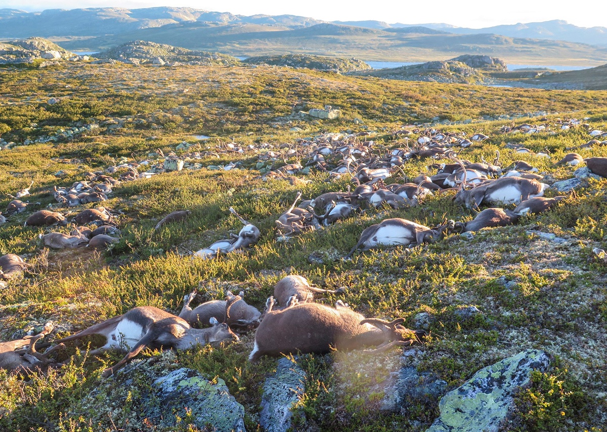 Giao hoang Francis gap Mark Zuckerberg anh 2