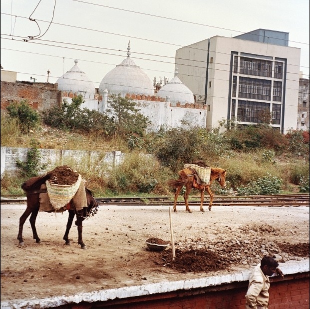 cuoc song cua moi tang lop An Do goi gon trong nhung toa tau hoa anh 11