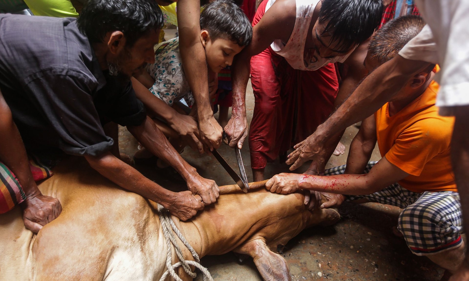 dong song mau,  le te sinh,  Eid,  Dhaka,  Bangladesh anh 1