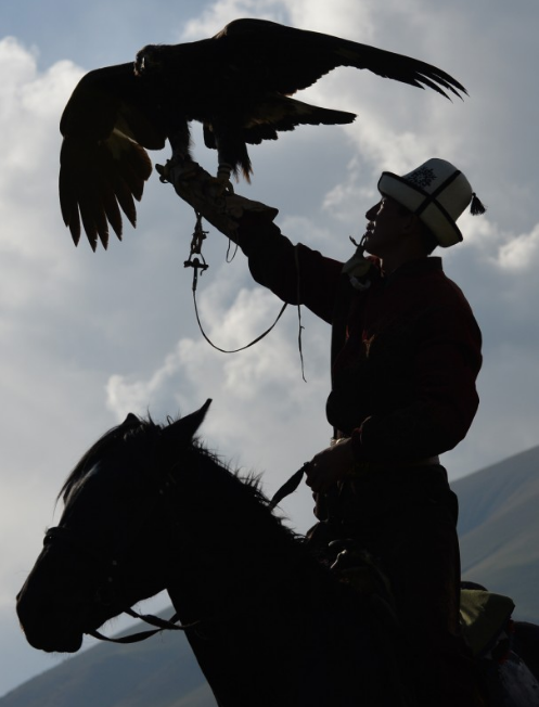 Mon thi dau doc dao cua nguoi du muc anh 6
