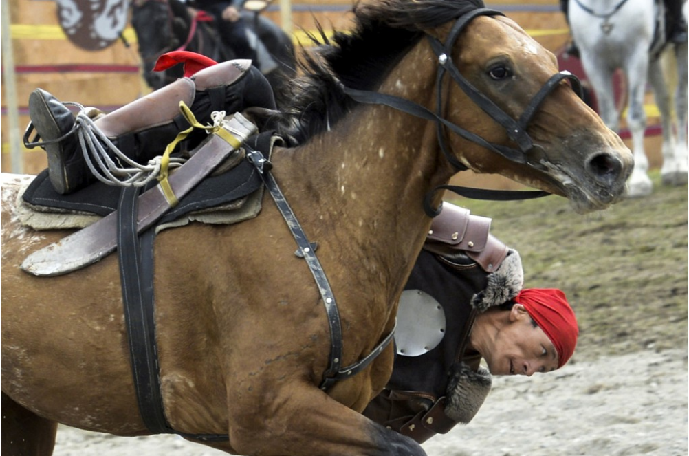 Mon thi dau doc dao cua nguoi du muc anh 8