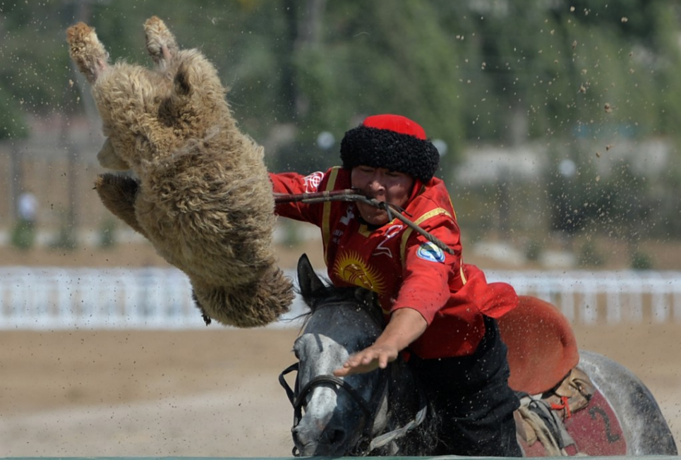 Mon thi dau doc dao cua nguoi du muc anh 4