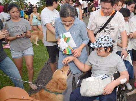 100 chu cho vang cho uoc nguyen cua cau be ung thu nao hinh anh