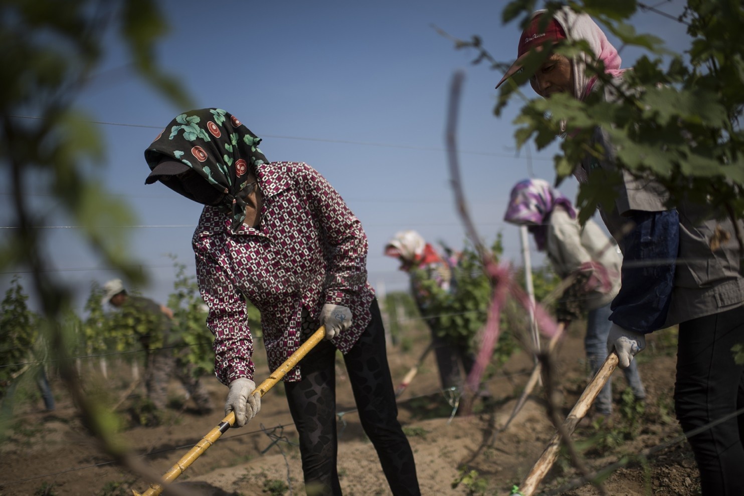 Trung Quoc du dinh xay dung sieu do thi lon nhat anh 6