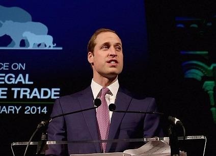 Hoang tu Anh den Viet Nam vao thang 11 hinh anh