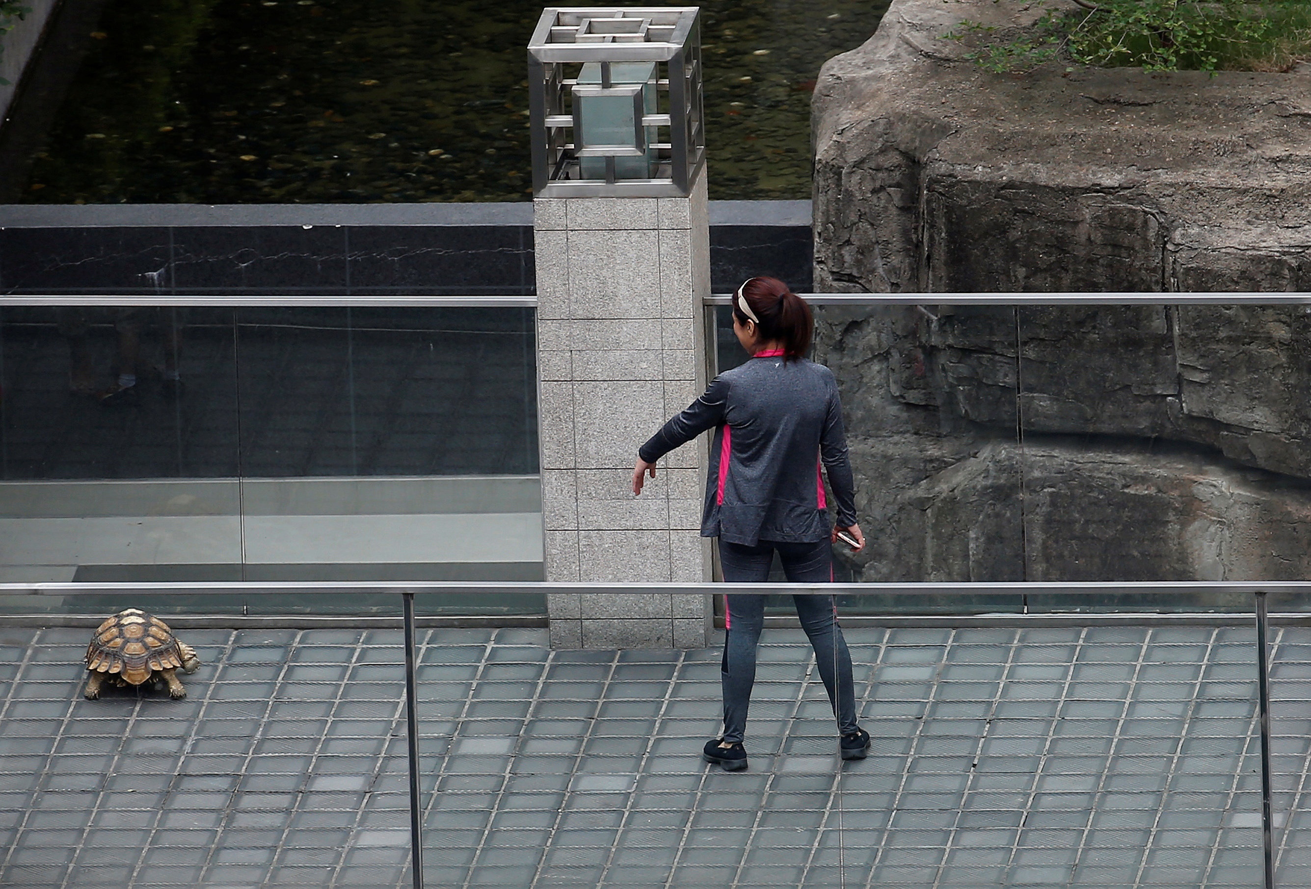 Anh noi bat trong tuan anh 11