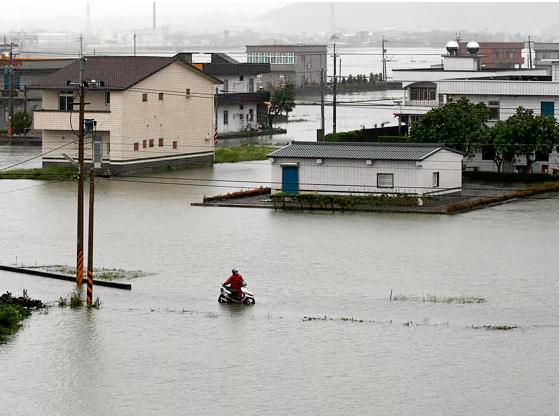 Dai Loan chong choi bao megi anh 6