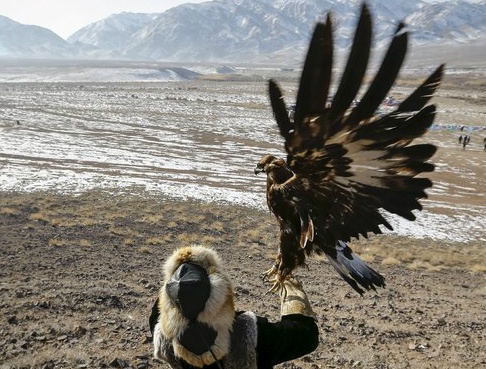 Mang dai bang di san soi o Mong Co hinh anh