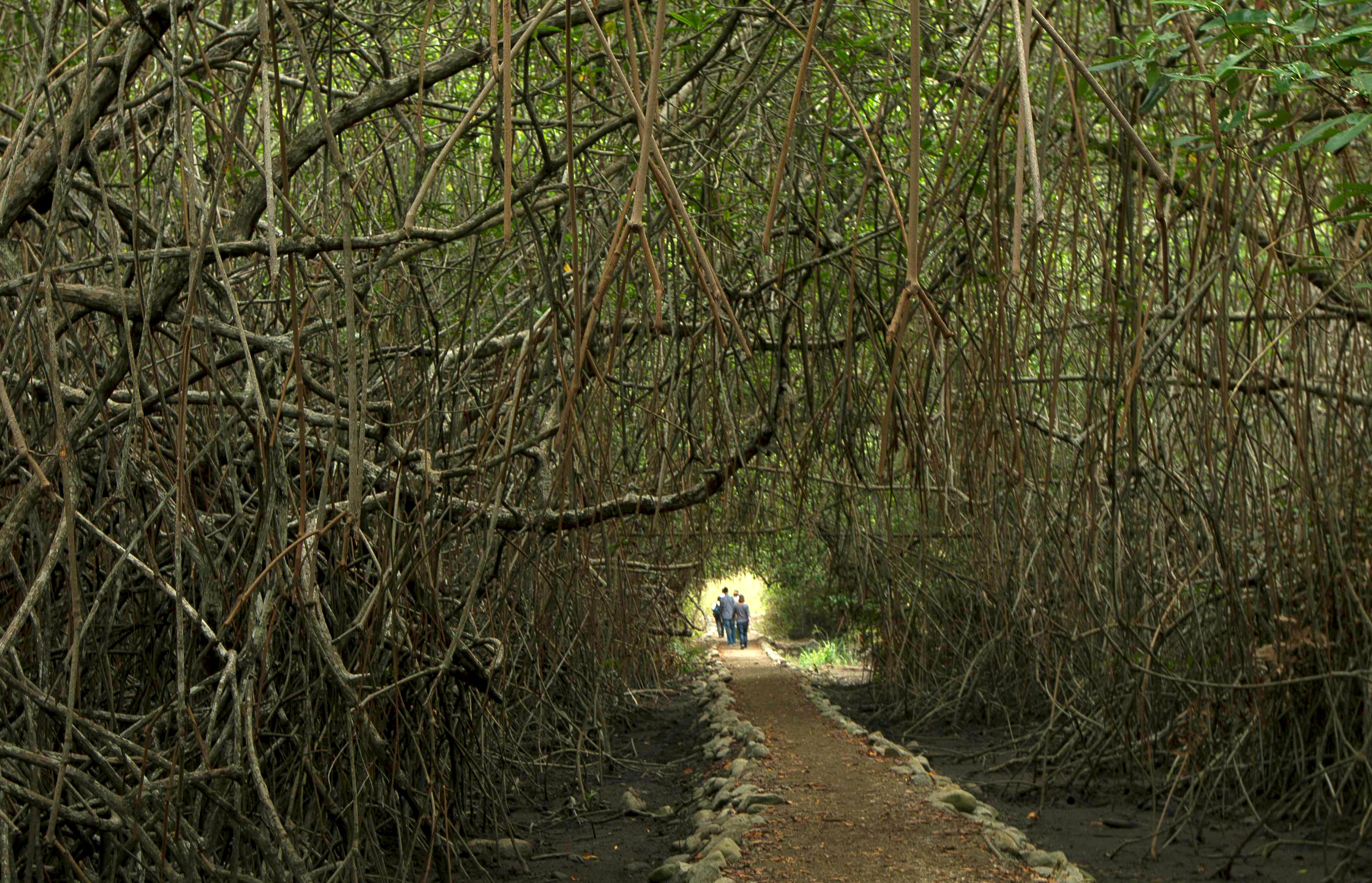 Anh an tuong trong tuan anh 10