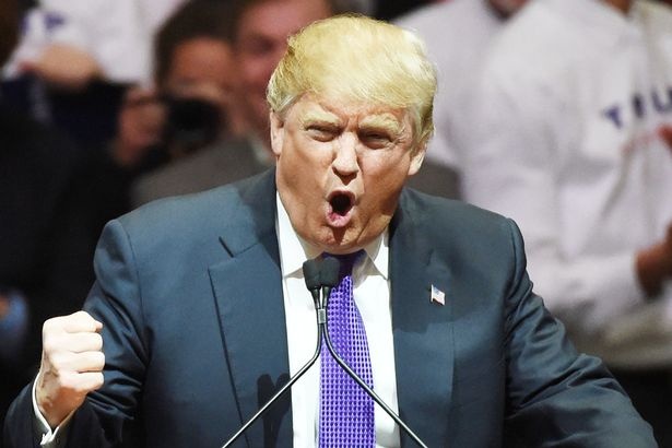 Neu Trump rut lui, cuoc dua Nha Trang se the nao? hinh anh