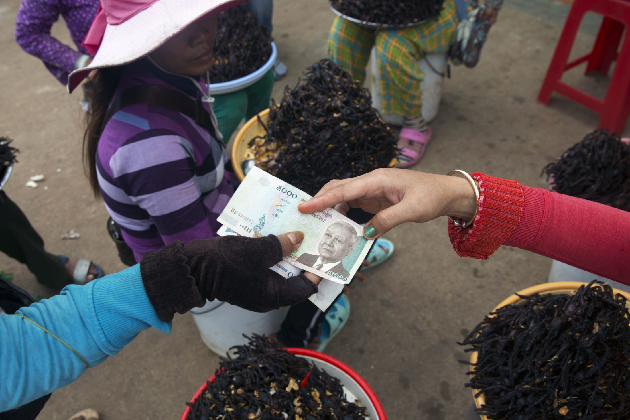 Nghề săn nhện vằn làm đặc sản ở Campuchia ảnh 13 Nghe san nhen van lam dac san o Campuchia anh 13