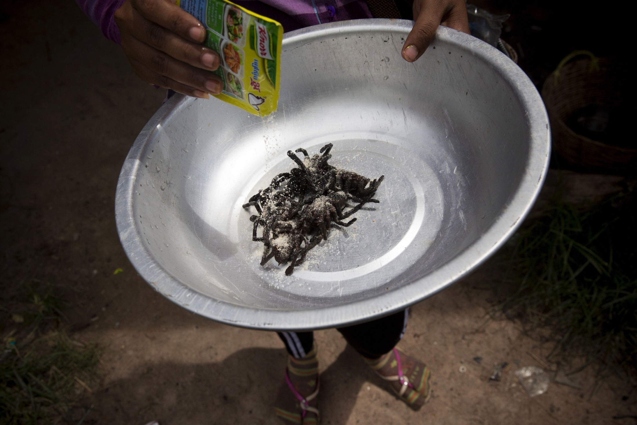 Nghề săn nhện vằn làm đặc sản ở Campuchia ảnh 10 Nghe san nhen van lam dac san o Campuchia anh 10